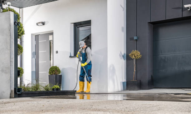 Best Soft Washing  in Schoolcraft, MI